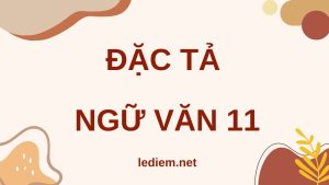 Đặc tả Ngữ văn 11