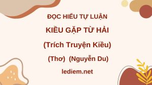 đọc hiểu Kiều gặp từ hải ; Lần thâu gió mát trăng thanh đọc hiểu