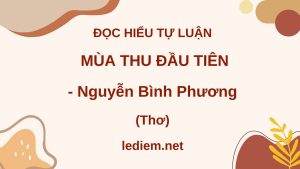 mùa thu đầu tiên nguyễn bình phương ; đọc hiểu mùa thu đầu tiên nguyễn bình phương ; đọc hiểu mùa thu đầu tiên