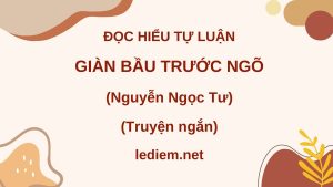 Đọc hiểu Giàn bầu trước ngõ ; giàn bầu trước ngõ nguyễn ngọc tư ; đọc hiểu giàn bầu trước ngõ tôi không thích