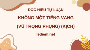 đọc hiểu không một tiếng vang