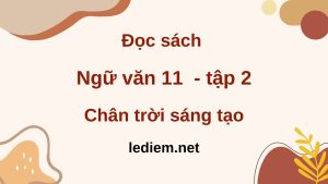 Đọc sách ngữ văn 11 chân trời sáng tạo tập 2 