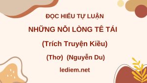 những nỗi lòng tê tái ; những nỗi lòng tê tái đọc hiểu ; đọc hiểu lầu xanh mới rủ trướng đào ; Đọc hiểu những nỗi lòng tê tái trích Truyện Kiều