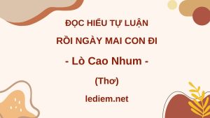 rồi ngày mai con đi ; đọc hiểu rồi ngày mai con đi ; đọc hiểu rồi ngày mai con đi lò cao nhum