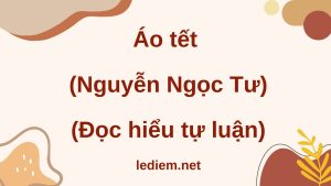 đọc hiểu áo tết tự luận ; đọc hiểu áo tết nguyễn ngọc tư tự luận