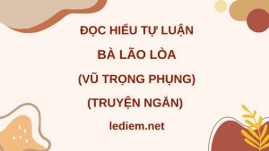 đọc hiểu bà lão lòa