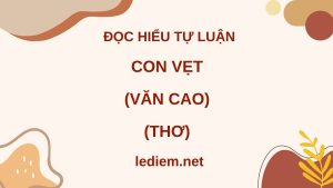 con vẹt văn cao ; đọc hiểu con vẹt ; đọc hiểu con vẹt văn cao