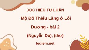 đọc hiểu mộ đỗ thiếu lăng ở lỗi dương kỳ 2 ; đọc hiểu mộ đỗ thiếu lăng ở lỗi dương