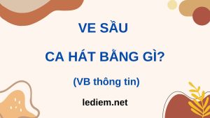 ve sầu ca hát bằng gì ; đọc hiểu ve sầu ca hát bằng gì