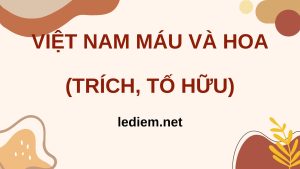 khao khát trăm năm mãi đợi chờ ; Việt Nam máu và hoa Đọc hiểu ; Việt Nam máu và hoa