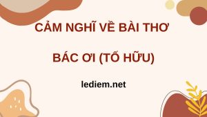 cảm nghĩ về bài thơ bác ơi ; cảm nhận về bài thơ bác ơi ; cảm xúc về bài thơ bác ơi