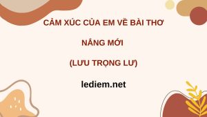 cảm xúc về bài thơ nắng mới ; cảm nhận về bài thơ nắng mới ; cảm nghĩ của em về bài thơ nắng mới