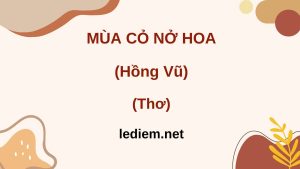 đọc hiểu mùa cỏ nở hoa ; đọc hiểu mùa cỏ nở hoa của hồng vũ ; đọc hiểu mùa cỏ nở hoa hồng vũ