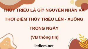 thủy triều là gì nguyên nhân và thời điểm thủy triều lên xuống trong ngày ; đọc hiểu thủy triều là gì nguyên nhân và thời điểm thủy triều lên xuống trong ngày ; đọc hiểu thủy triều là gì