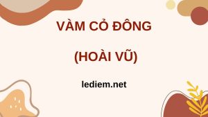 vàm cỏ đông ; đọc hiểu vàm cỏ đông ; trắc nghiệm vàm cỏ đông