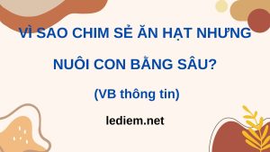 đọc hiểu vì sao chim sẻ ăn hạt nhưng nuôi con bằng sâu ; đọc hiểu vì sao chim sẻ ăn hạt