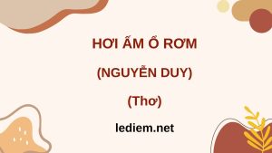 hơi ấm ổ rơm ; đọc hiểu hơi ấm ổ rơm