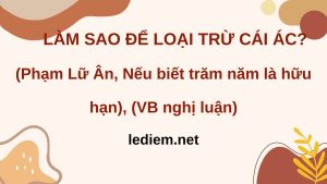 làm sao để loại trừ cái ác ; đọc hiểu làm sao để loại trừ cái ác