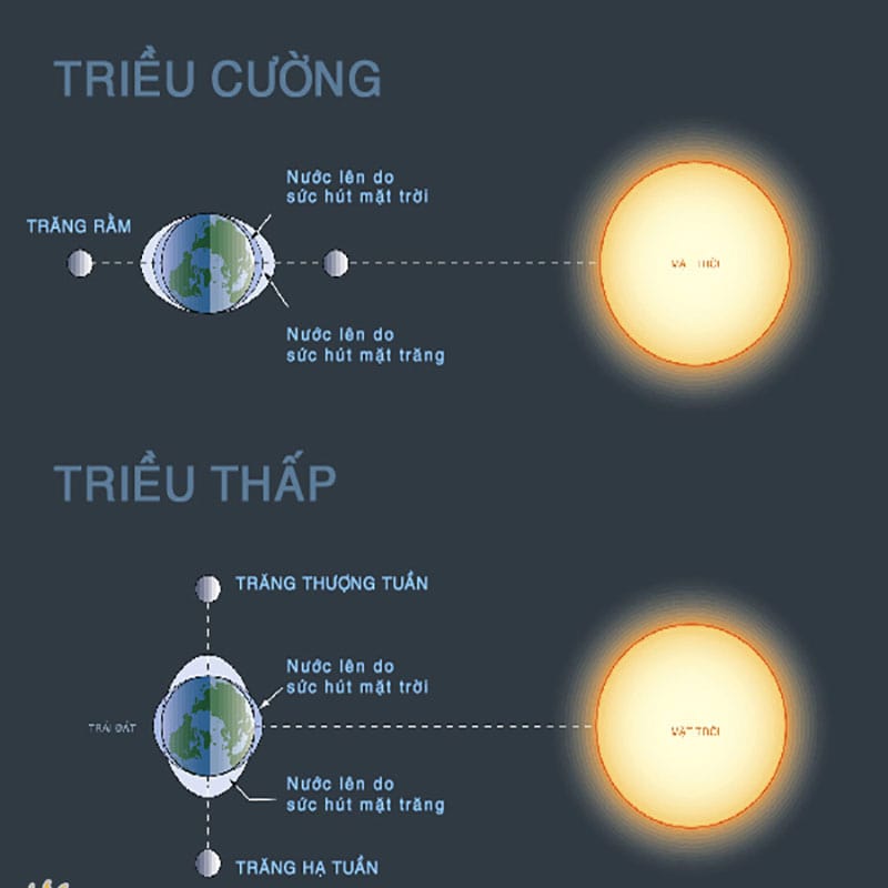 thủy triều là gì nguyên nhân và thời điểm thủy triều lên xuống trong ngày ; đọc hiểu thủy triều là gì nguyên nhân và thời điểm thủy triều lên xuống trong ngày ; đọc hiểu thủy triều là gì