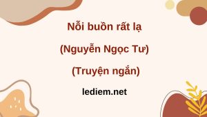 nỗi buồn rất lạ ; đọc hiểu nỗi buồn rất lạ