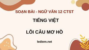 lỗi câu mơ hồ  