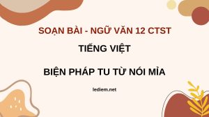 biện pháp tu từ nói mỉa ; soạn bài biện pháp tu từ nói mỉa