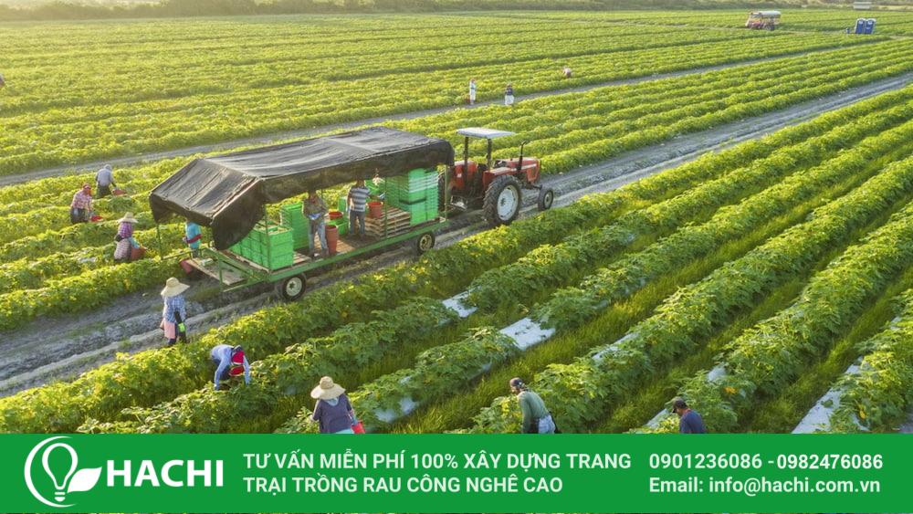 những gương mặt trẻ thủ đô sáng tạo và nghị lực ; đọc hiểu những gương mặt trẻ thủ đô sáng tạo và nghị lực