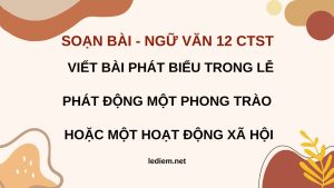 Viết bài phát biểu trong lễ phát động một phong trào hoặc một hoạt động xã hội