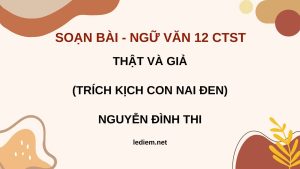 Thật và giả ; thật và giả nguyễn đình thi ; soạn bài thật và giả