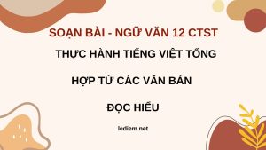 tiếng việt bài 8 văn 12 chân trời sáng tạo