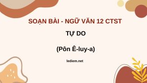 soạn bài tự do pôn ê luy a ; tự do pôn ê luy a