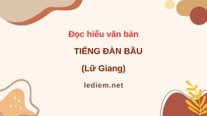 Tiếng đàn bầu ; đọc hiểu tiếng đàn bầu ; tiếng đàn bầu lữ giang